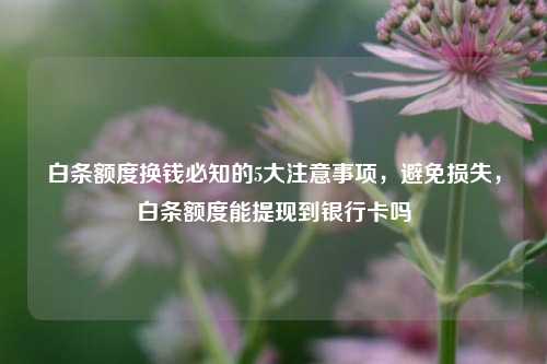 白条额度换钱必知的5大注意事项，避免损失，白条额度能提现到银行卡吗