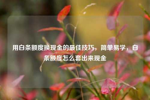 用白条额度换现金的最佳技巧，简单易学，白条额度怎么套出来现金