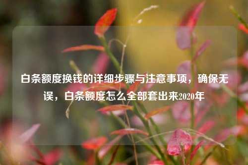 白条额度换钱的详细步骤与注意事项，确保无误，白条额度怎么全部套出来2020年