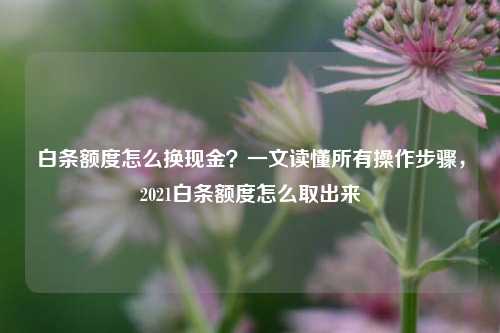 白条额度怎么换现金？一文读懂所有操作步骤，2021白条额度怎么取出来
