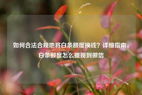 如何合法合规地将白条额度换钱？详细指南，白条额度怎么提现到微信