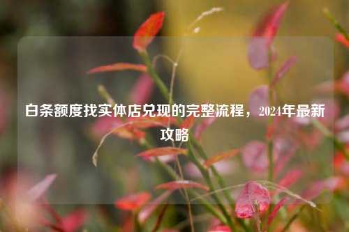 白条额度找实体店兑现的完整流程，2024年最新攻略