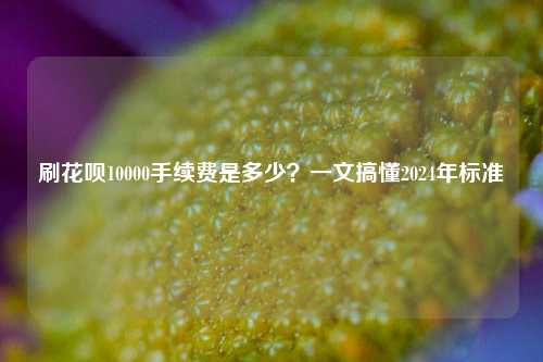 刷花呗10000手续费是多少？一文搞懂2024年标准