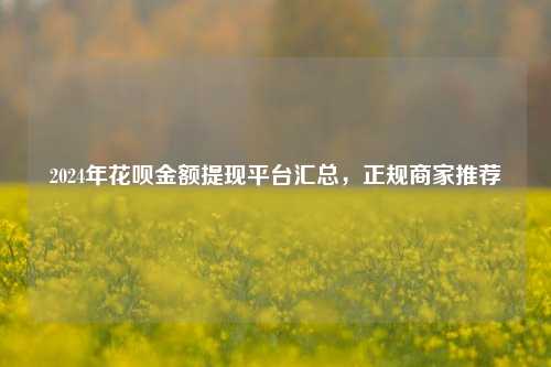 2024年花呗金额提现平台汇总，正规商家推荐
