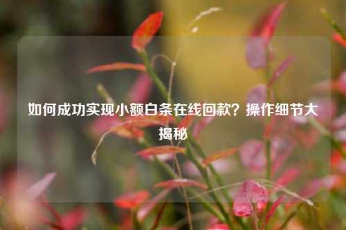 如何成功实现小额白条在线回款？操作细节大揭秘