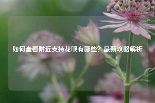 如何查看附近支持花呗有哪些？最新攻略解析