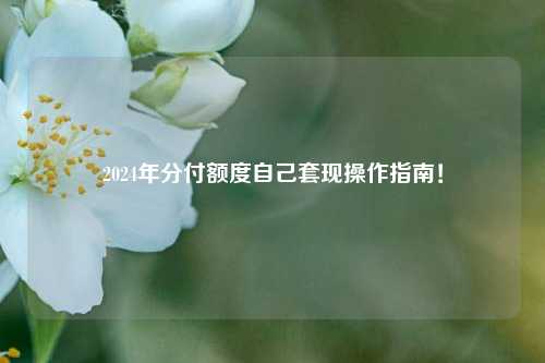 2024年分付额度自己套现操作指南！