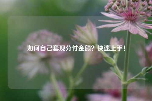 如何自己套现分付金额？快速上手！