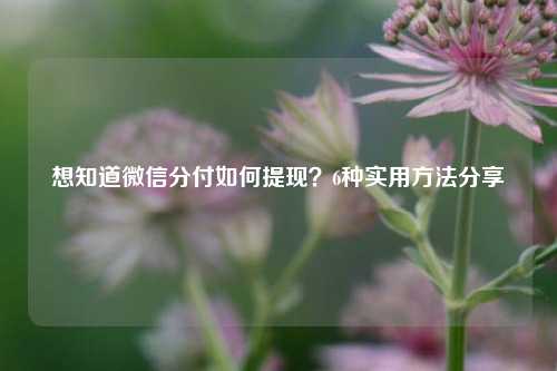 想知道微信分付如何提现？6种实用方法分享