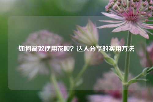 如何高效使用花呗？达人分享的实用方法