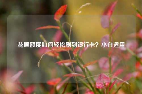 花呗额度如何轻松刷到银行卡？小白适用