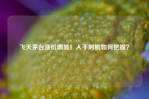 飞天茅台涨价明显！入手时机如何把握？