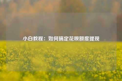 小白教程：如何搞定花呗额度提现