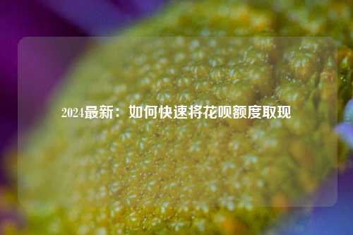 2024最新：如何快速将花呗额度取现
