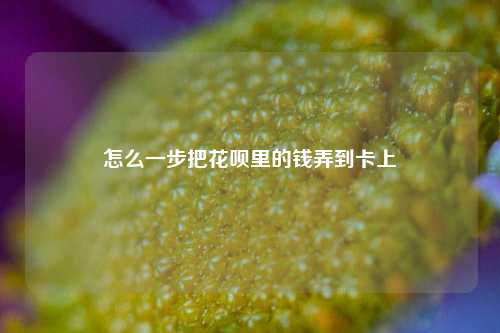 怎么一步把花呗里的钱弄到卡上