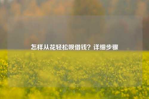 怎样从花轻松呗借钱？详细步骤
