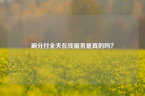 刷分付全天在线服务是真的吗？