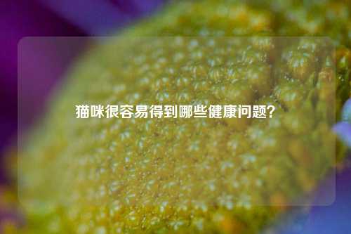 猫咪很容易得到哪些健康问题？