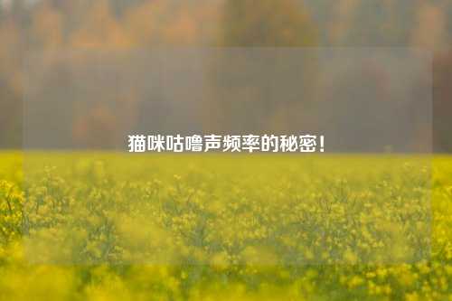 猫咪咕噜声频率的秘密！