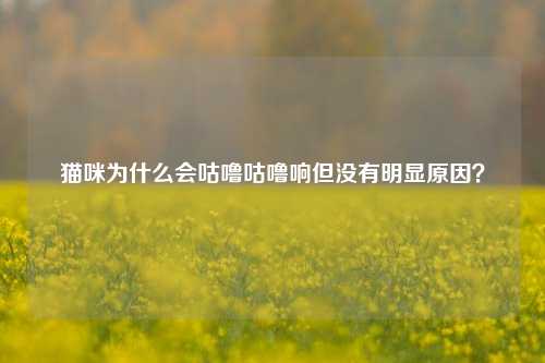 猫咪为什么会咕噜咕噜响但没有明显原因？