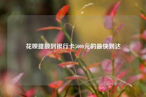 花呗提额到银行卡5000元的最快到达