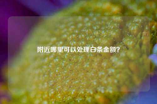 附近哪里可以处理白条金额？