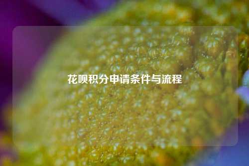 花呗积分申请条件与流程