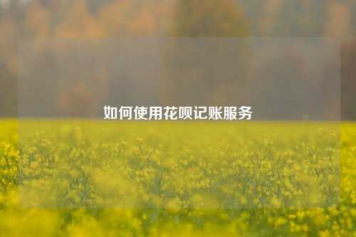 如何使用花呗记账服务