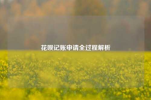 花呗记账申请全过程解析