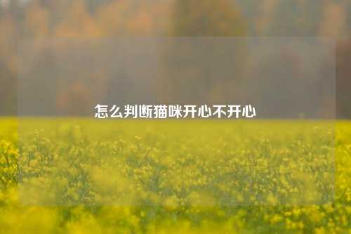 怎么判断猫咪开心不开心