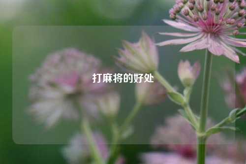 打麻将的好处