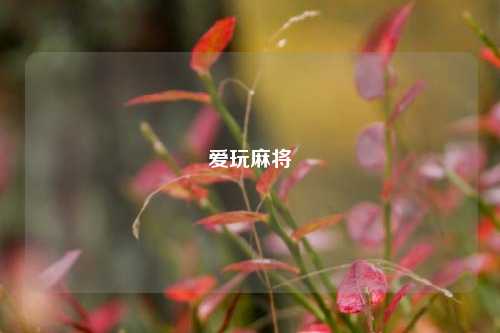 爱玩麻将