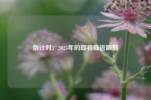 倒计时：2025年的即将临近眼前