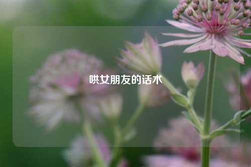 哄女朋友的话术