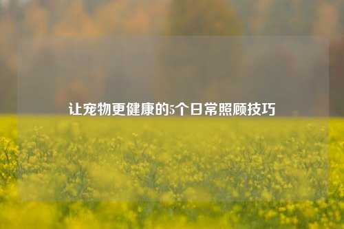 让宠物更健康的5个日常照顾技巧