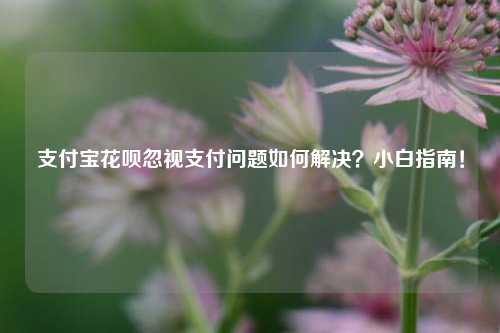支付宝花呗忽视支付问题如何解决？小白指南！