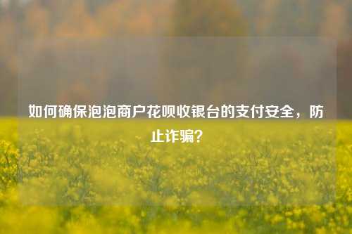 如何确保泡泡商户花呗收银台的支付安全，防止诈骗？