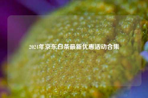 2024年京东白条最新优惠活动合集