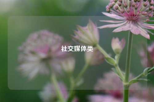 社交媒体类