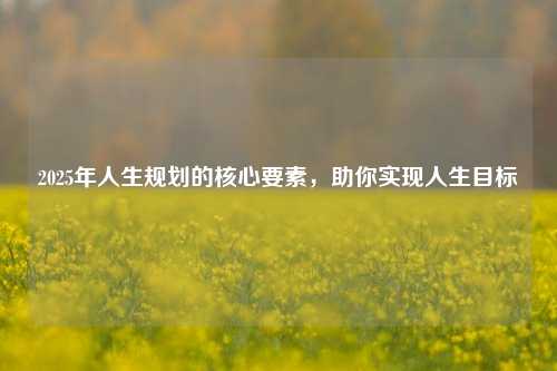 2025年人生规划的核心要素，助你实现人生目标