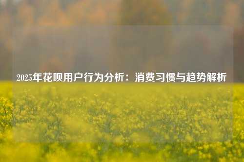 2025年花呗用户行为分析：消费习惯与趋势解析