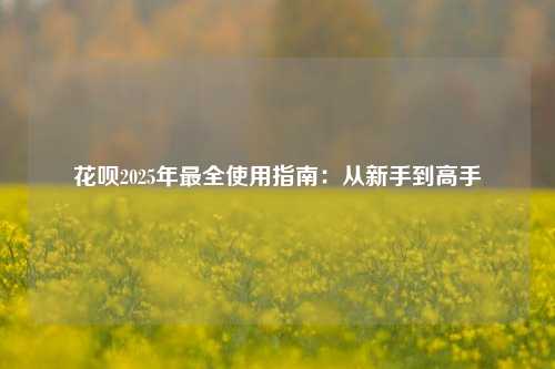 花呗2025年最全使用指南：从新手到高手