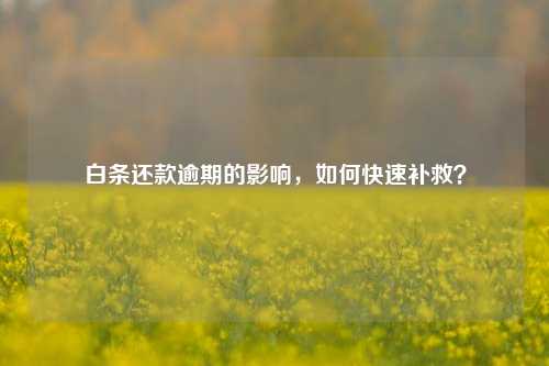 白条还款逾期的影响，如何快速补救？