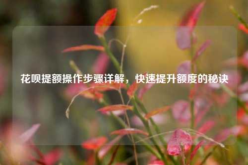 花呗提额操作步骤详解，快速提升额度的秘诀