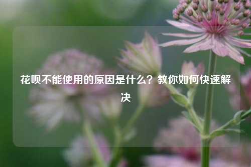 花呗不能使用的原因是什么？教你如何快速解决