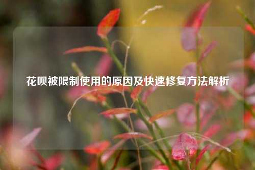 花呗被限制使用的原因及快速修复方法解析