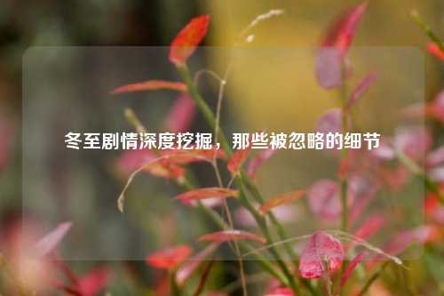 冬至剧情深度挖掘，那些被忽略的细节