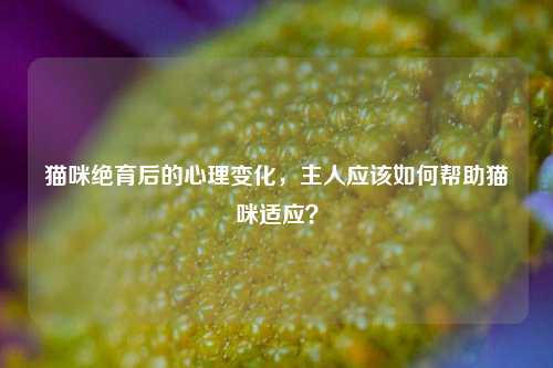 猫咪绝育后的心理变化，主人应该如何帮助猫咪适应？