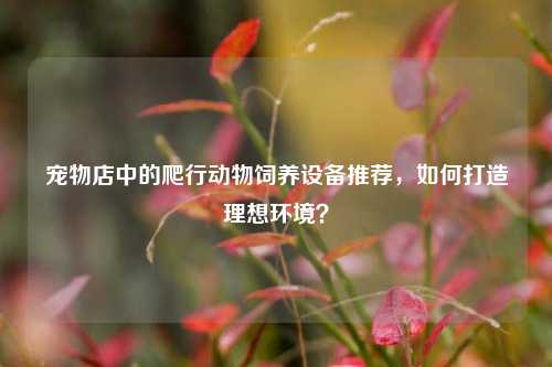 宠物店中的爬行动物饲养设备推荐，如何打造理想环境？
