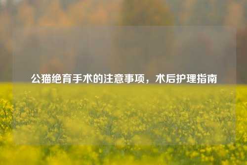 公猫绝育手术的注意事项，术后护理指南